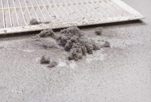 Best Affordable Air Duct Cleaning  in Avra Valley, AZ