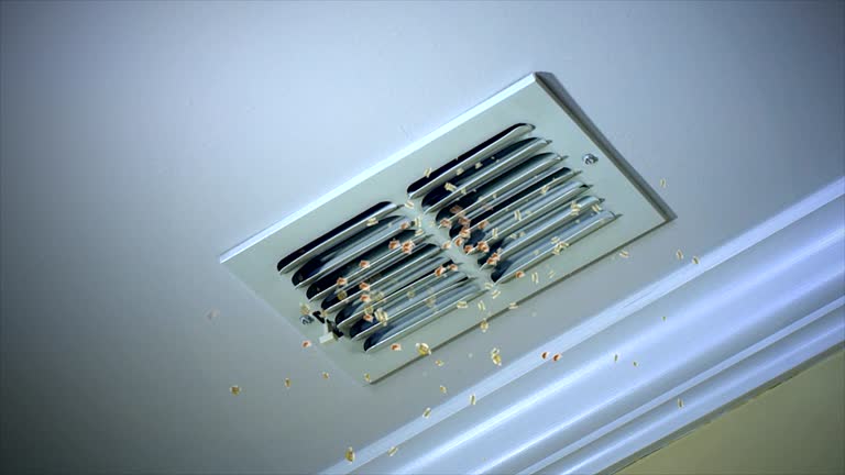 Best General Air Duct Cleaning  in Avra Valley, AZ